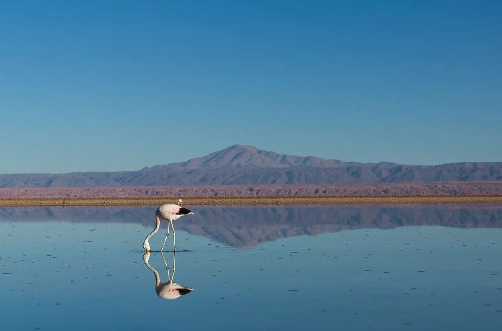 Car Maintenance: What Should We Try to Achieve?